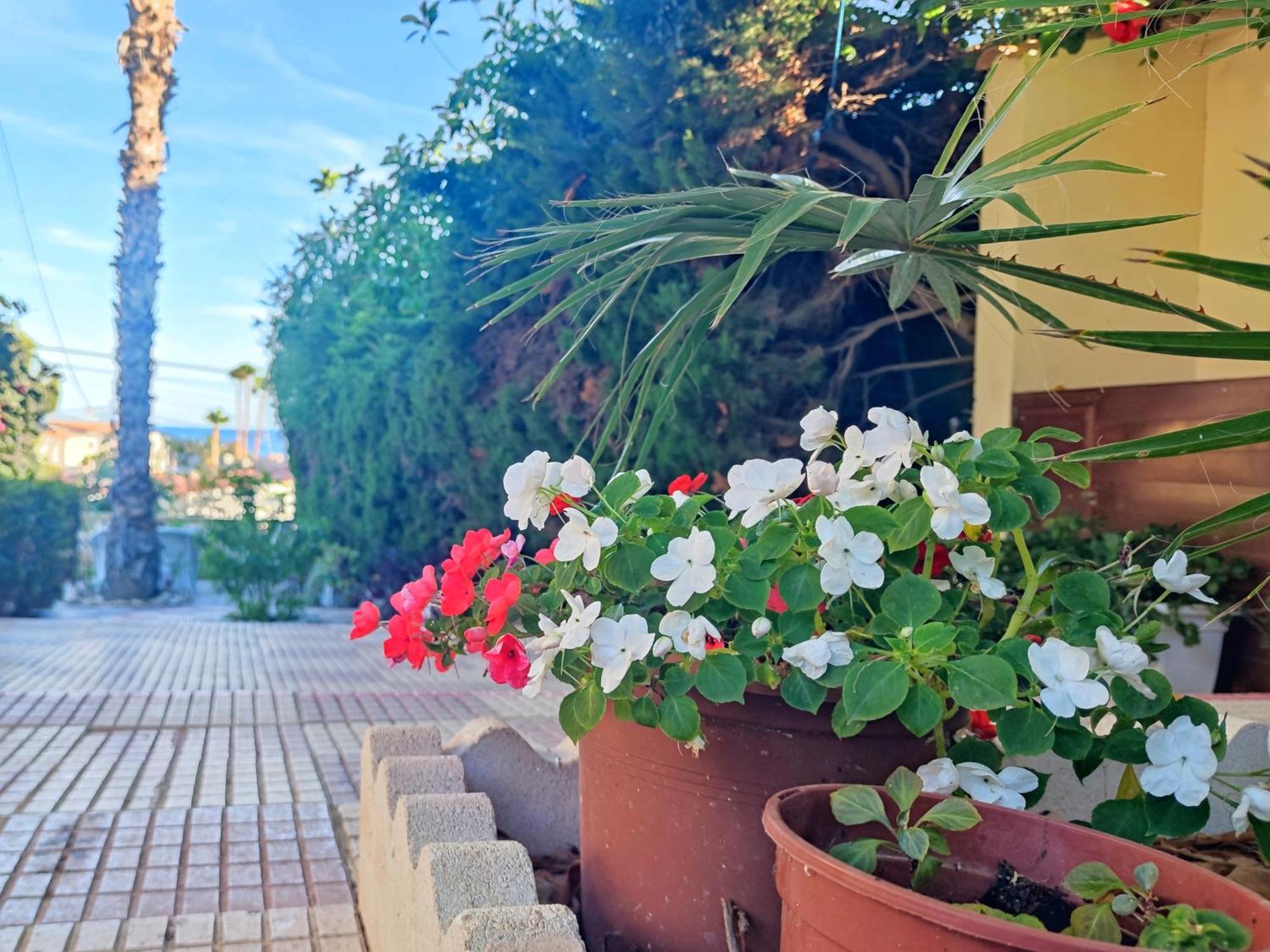 Casona Del Mar Terraza Y Vistas Al Mediterraneo El Campello Extérieur photo